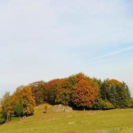 Spacious In With Private Terrace * Madfeld