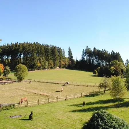 Spacious In With Private Terrace Lejlighed