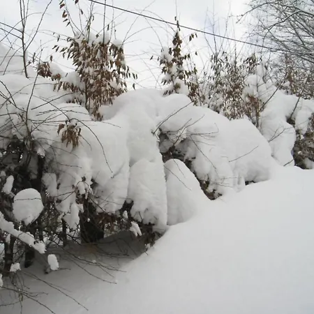 Spacious In With Private Terrace Lejlighed Madfeld