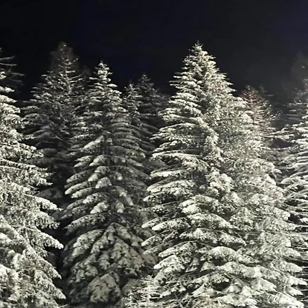 Spacious In With Private Terrace *