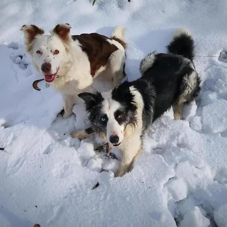 Spacious In With Private Terrace * Madfeld