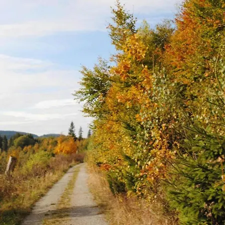 Lejlighed Spacious In With Private Terrace Madfeld