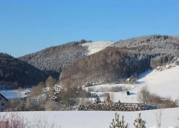 Spacious In With Private Terrace Daire *