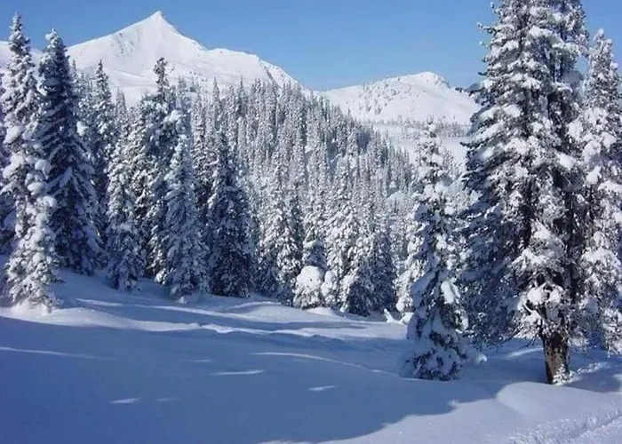 Spacious In With Private Terrace Daire Madfeld