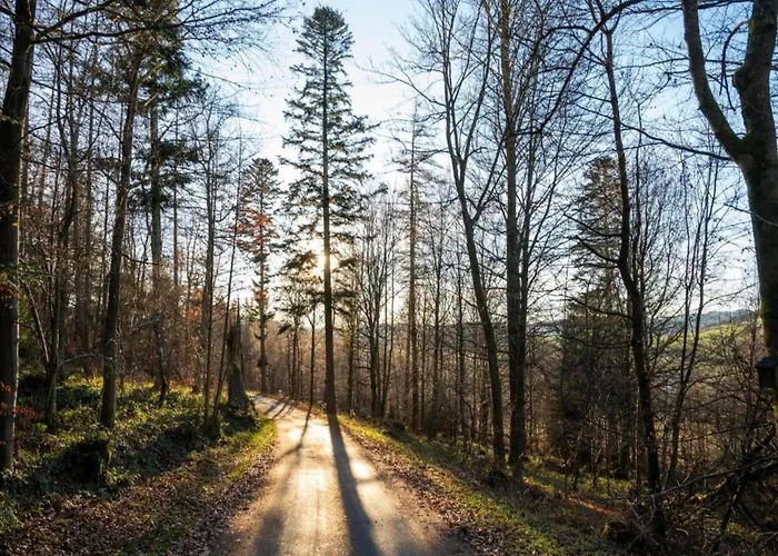 Spacious In With Private Terrace * Madfeld