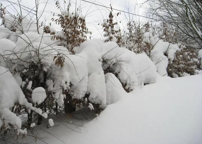 Spacious In With Private Terrace Daire Madfeld