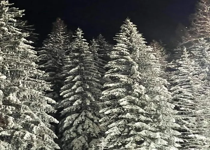 Spacious In With Private Terrace *