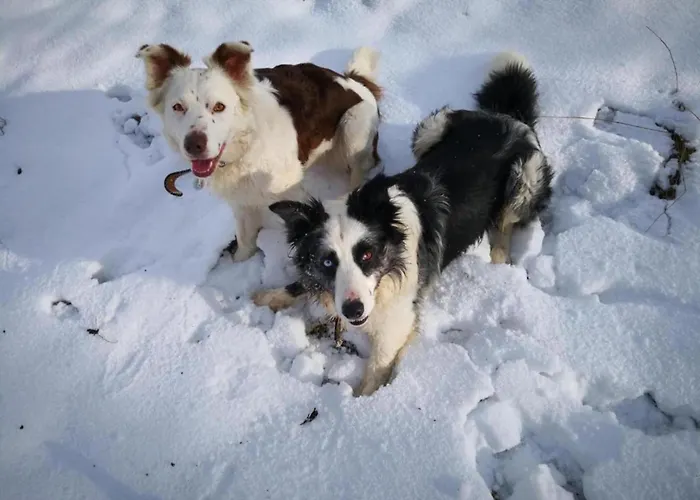 Spacious In With Private Terrace * Madfeld