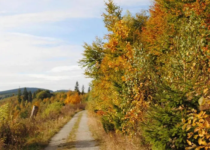 Daire Spacious In With Private Terrace Madfeld